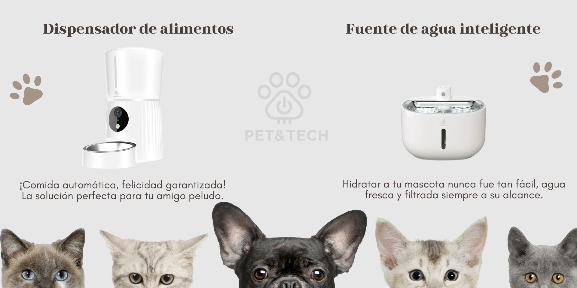 banner-home-pet-and-tech-1